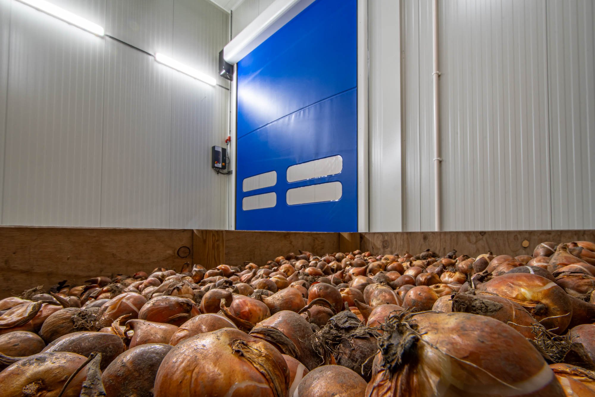 Efficiënte toegang voor optimale bloembollenbewaring bij Zwettulips